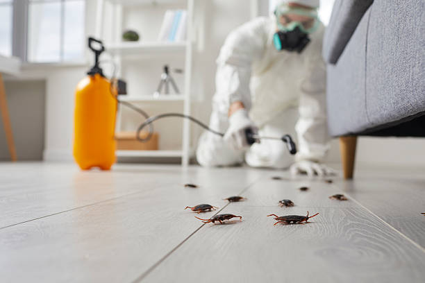 Commercial Kitchen Cockroach Control in Swarthmore